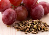 Vitamina E