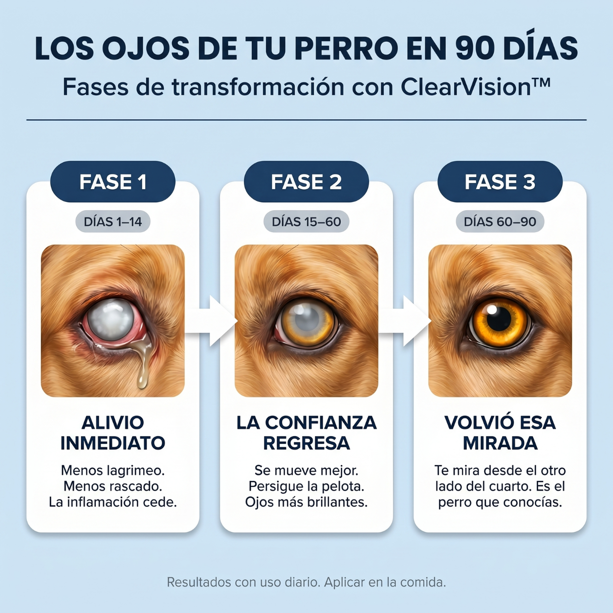 ClearVision™️ Favorece una visión más nítida en tu perro y reduce el daño